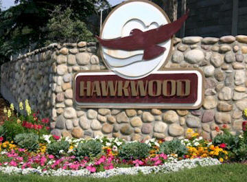 Hawkwood